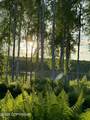 9803 King Arthur Drive - Photo 83