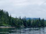 L4 Par E Naukati Bay - Photo 1