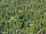 000 No Road Talkeetna River - Photo 12