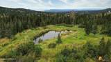 16528 Kings Way Drive - Photo 117