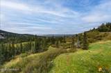16528 Kings Way Drive - Photo 78