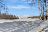 23282 Talkeetna Spur Road - Photo 39