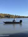 no road Yentna River - Photo 4