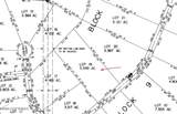 81 Lynx Loop - Photo 8