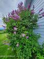 41090 Solstice Drive - Photo 75