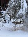48145 Igloo Avenue - Photo 42