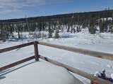 L11 Tolsona Lake Road - Photo 46
