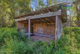 45609 Holt Lamplight Road - Photo 61