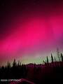 1327.6A Alaska Highway - Photo 32