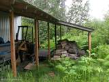 000 Horn Mountain - Photo 12