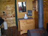000 Horn Mountain - Photo 48