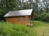 000 Horn Mountain - Photo 9