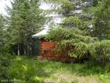 000 Horn Mountain - Photo 16