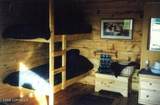 000 Horn Mountain - Photo 58