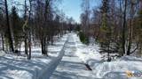 15092 Forest Lane - Photo 49