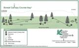 NHN (Nizina Road) Mccarthy - Photo 55