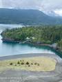 54066 Peterson Bay Remote Sw - Photo 4