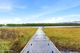 3579 Inspiration Loop - Photo 42