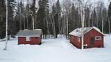 126.5 Steese Highway - Photo 60