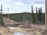 1731 Old Steese Highway - Photo 38