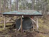51 Twelve Mile Road - Photo 56