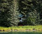 62910 Tutka Bay - Photo 31