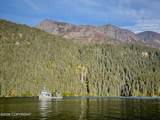 62910 Tutka Bay - Photo 35