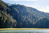 62910 Tutka Bay - Photo 5