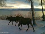 2675 Kachemak Drive - Photo 28