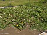 41955 Salamatof Drive - Photo 32