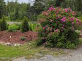41955 Salamatof Drive - Photo 34
