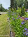 41955 Salamatof Drive - Photo 35