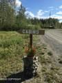 MP 33 Tok Cutoff - Photo 28