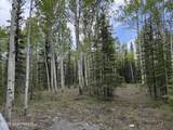 L11-12 Kenny Lake Loop - Photo 18