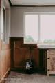 28951 Parks Highway - Photo 56
