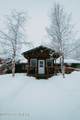 28951 Parks Highway - Photo 93