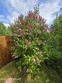 1340 Fairview Loop - Photo 43