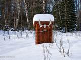 Tr C-2 Mount Susitna - Photo 11