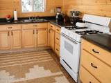 Tr C-2 Mount Susitna - Photo 5