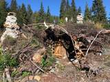 NHN Mosquito Lake Road Road - Photo 2