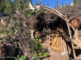 NHN Mosquito Lake Road Road - Photo 4