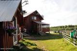 100 Holitna River - Photo 6