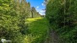 C003 No Road Trail - Photo 60