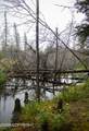 1210 Hudson Road - Photo 56