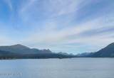 57739 Seldovia Bay Lease - Photo 74