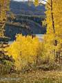 13183 Glenn Highway - Photo 9