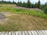 31580 Hannah Rene Road - Photo 15