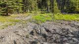 23650 Lost Street - Photo 14