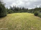 8721 Steese Highway - Photo 26