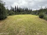 8721 Steese Highway - Photo 27
